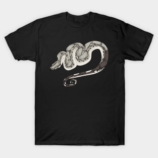 Anery Boa Constrictor T-Shirt